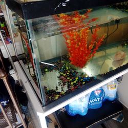 40 Gallons Aquarium For Sale With All Equipments 95$