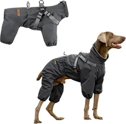 New Dog raincoat with harness
