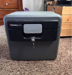 Sentry Safe  Box HD 4100