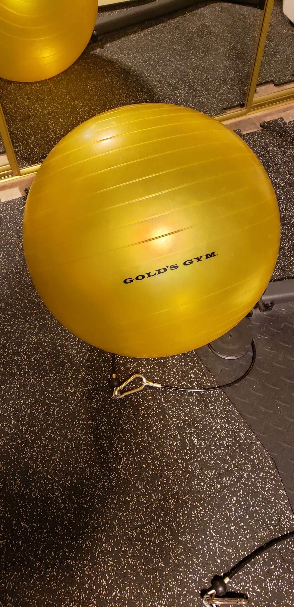 Gold's Gym exercise ball