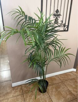 Faux house plant