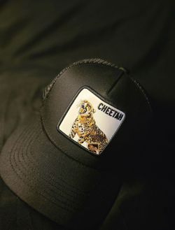 Cheetah trucker hat 5 dollars today!!