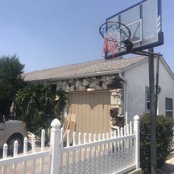 Basket Ball