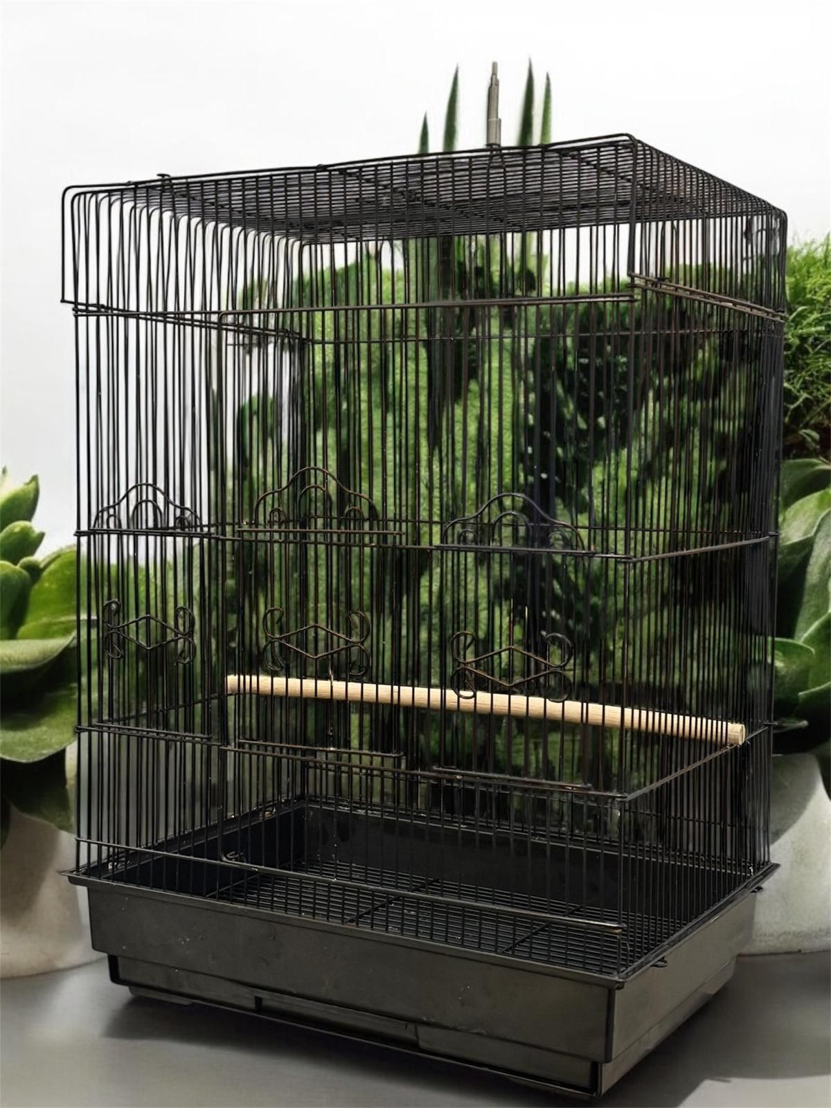 Black Bird Cage