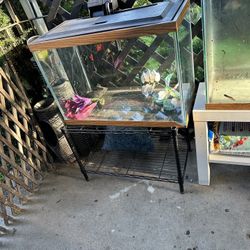 tank 35 inch 