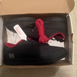 supreme nike Sb 10.5 brand new 