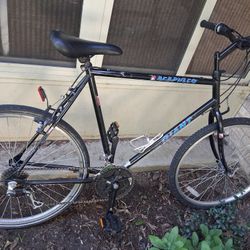 100% Working Mountian Bike. Giant Brand
