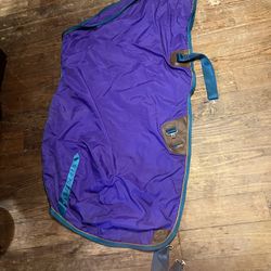 Horse Sheet