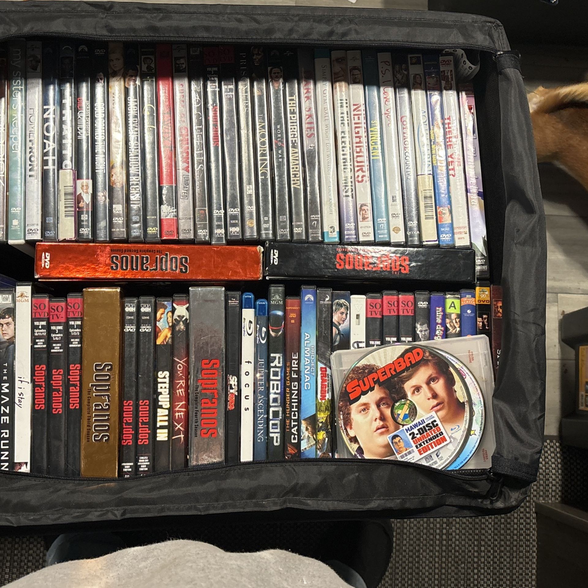 77 DVDs