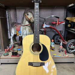 12 String Guitar