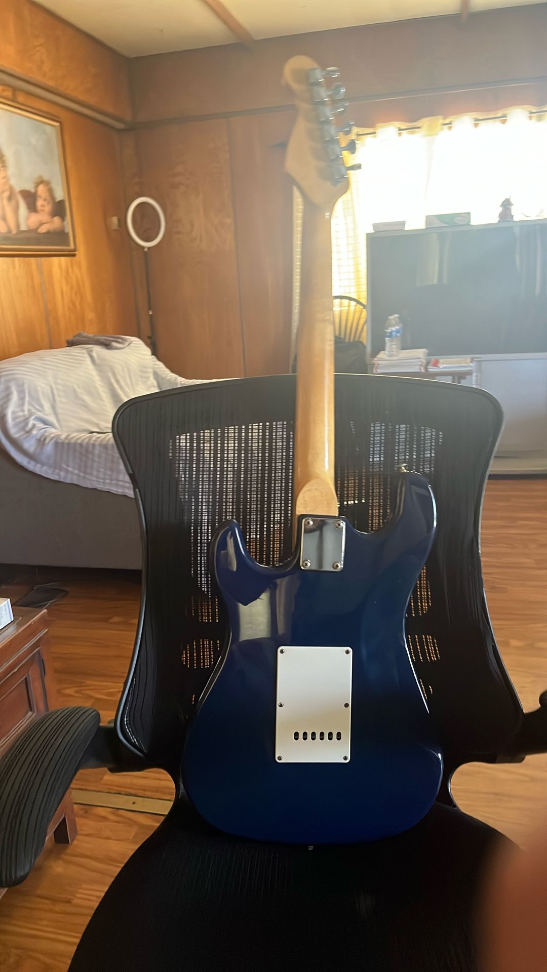 Carvin 6 String Electric guitar guitar