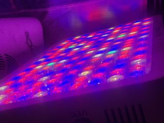 Led Grow Lights 