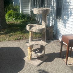 Cat Tree