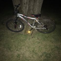 24” Schwinn Mountain Bike 