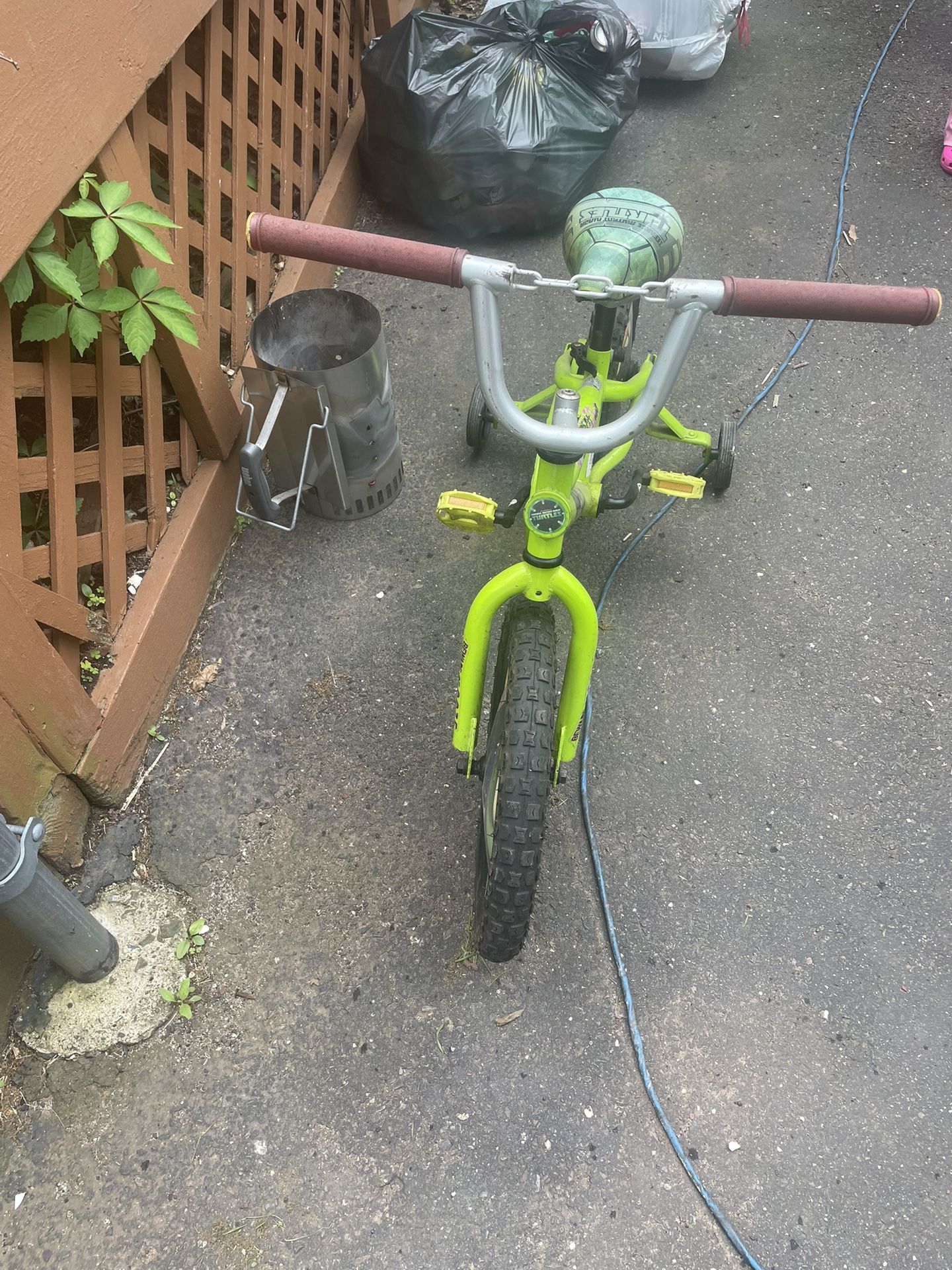 Ninja Turtles Bike