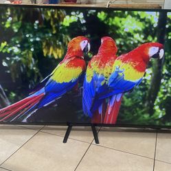 W Box 65” 4k UHD (2160p) LED Roku Tv