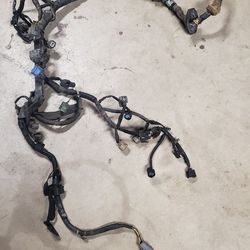  Wire Harness for Accord 96