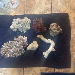 Reef Rock