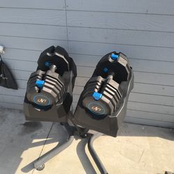 Adjustable Dumbbells Without Stand but with Workout Bench