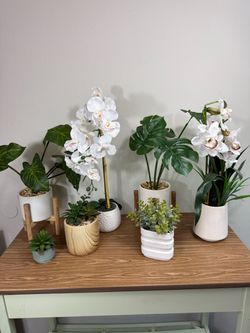 Faux Plant Collection in Decorative Pots