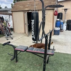 Punching Bag 