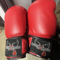14oz Boxing Gloves
