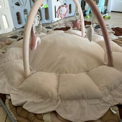 Baby Play Gym 