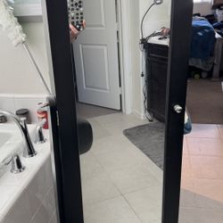 Jewelry Mirrored Cabinet Storage *Jewelry Not Included*