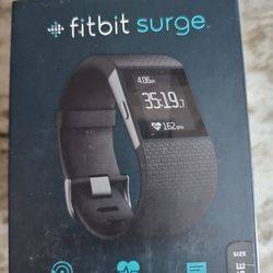Fitbit Large Watch $30
