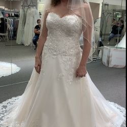 Never Worn Wedding Dress 