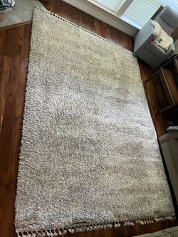 Area rug - Nuloom brand