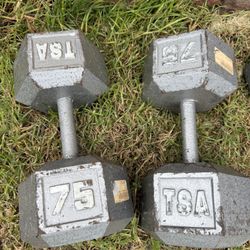 2-75 Lbs Dumbbell Weights 
