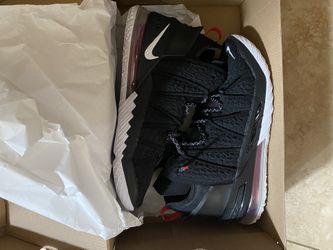 LeBron 18