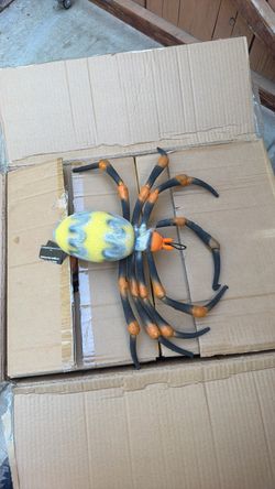 Giant Joro  spiders