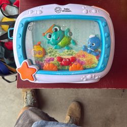 Baby Einstein Aquarium