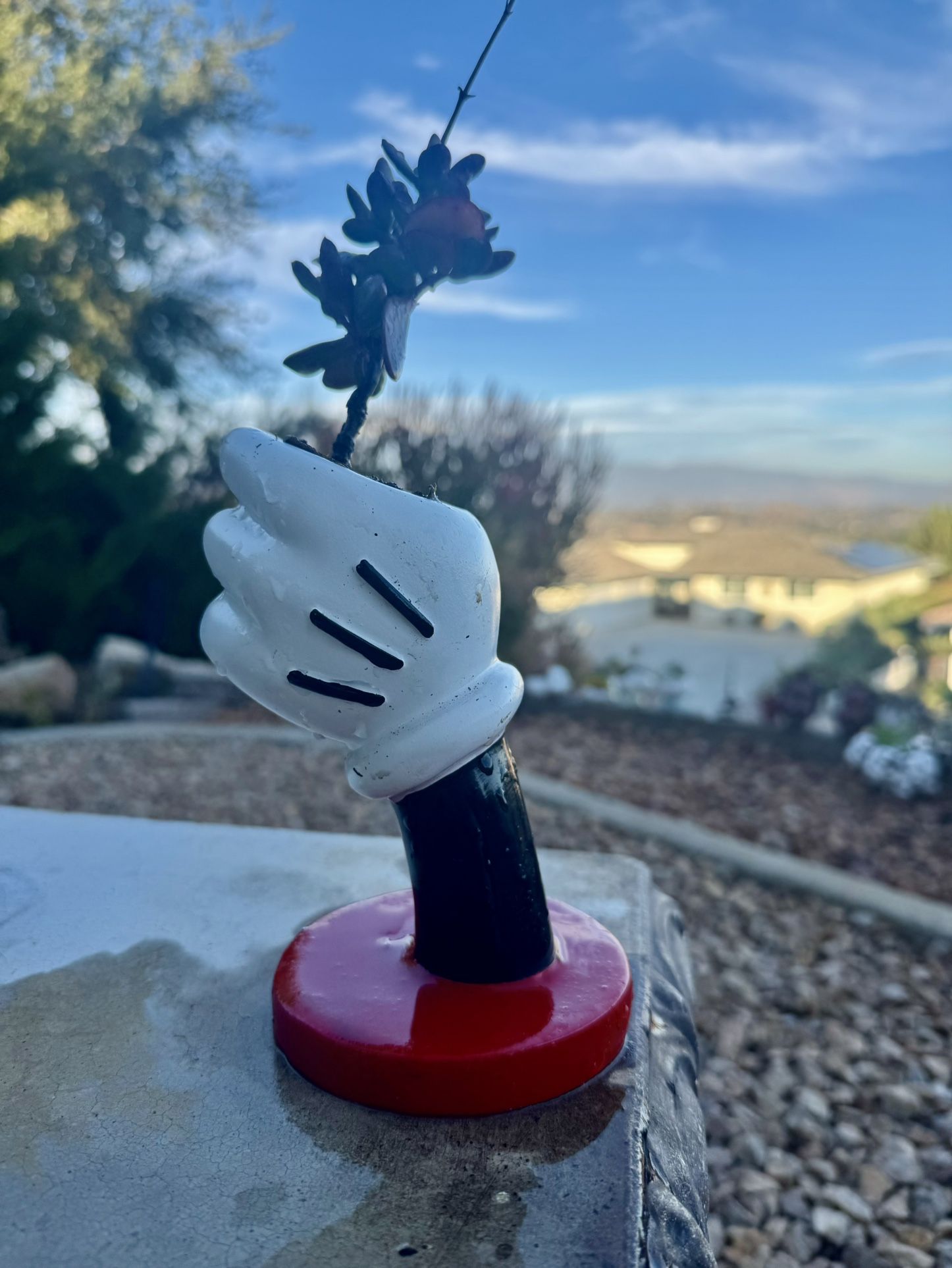 π€©ππ Disney Mickey Mouse Hand Planter With Red Succulents πͺ΄