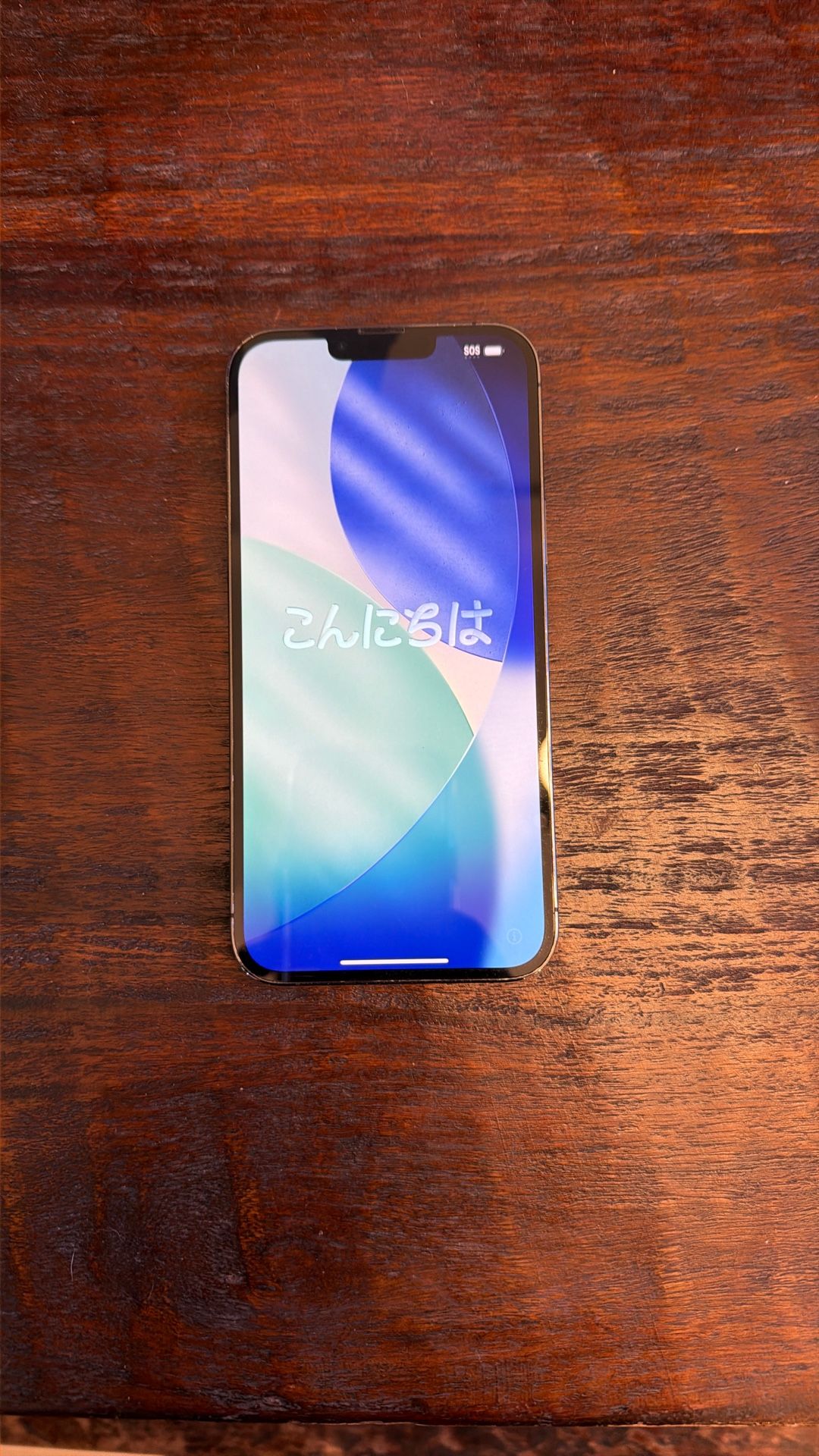 Iphone 13 Pro Max 256 Gb