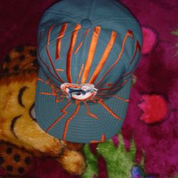 Vintage Starter Miami Dolphins Hat 