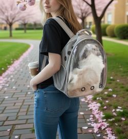 Gray-   New! Space Capsule Pet Carrier Backpack – For Small Cats & Dogs  Clear Breathable Bubble Window | Airline-Approved | Travel & Hiking Carrier |