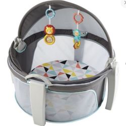 Fisher Price Activity Dome (IOB)