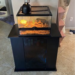 terrarium and stand everything included