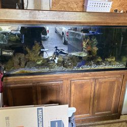 180 Gallon Aquarium Fish Tank