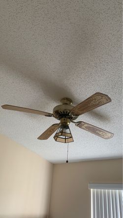 Fan