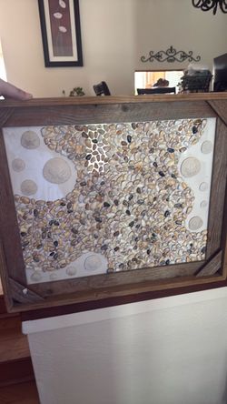 3d Sanddollar art in frame