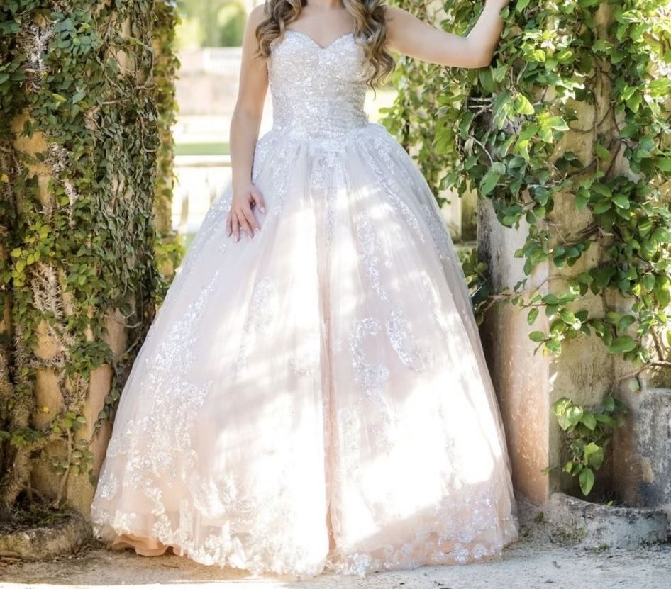 Quinceanera / Sweet 16 Dress 