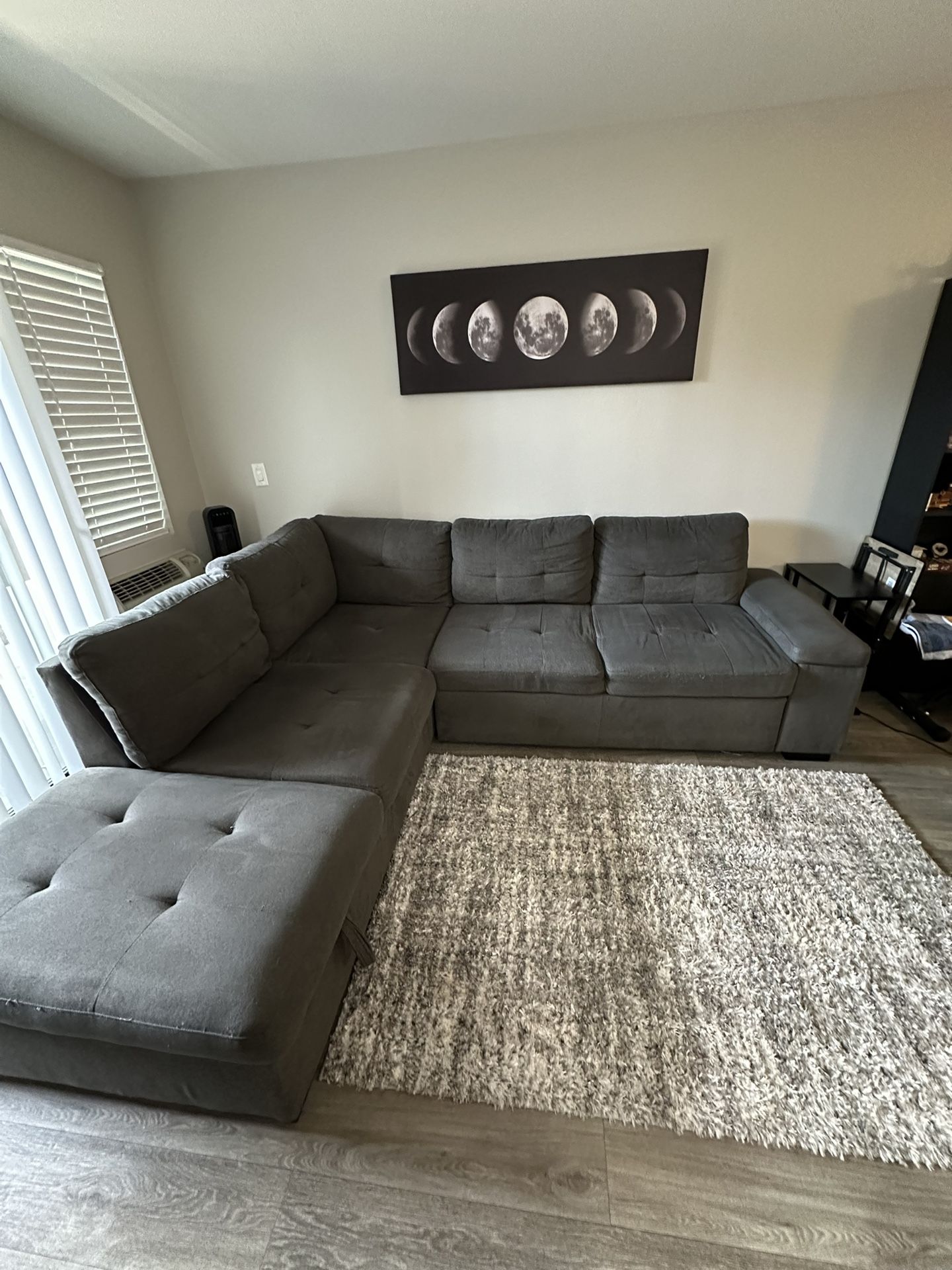 Sectional Couch