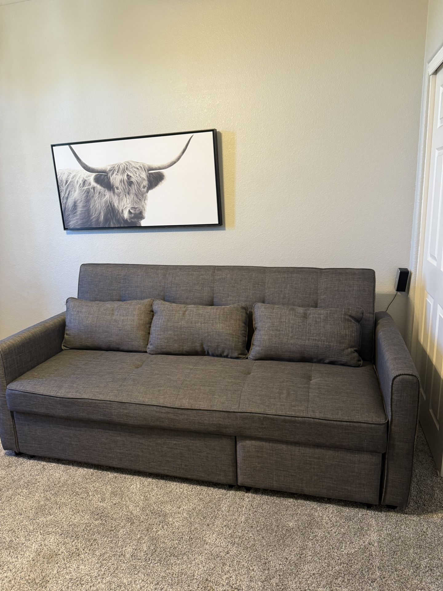 Gray Sofa Converts To Bed