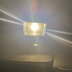 husky light