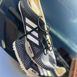Track Shoe