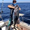 Fish NinjaY